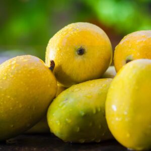 Kesar Mango